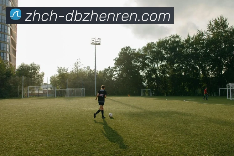 DB真人发展历程